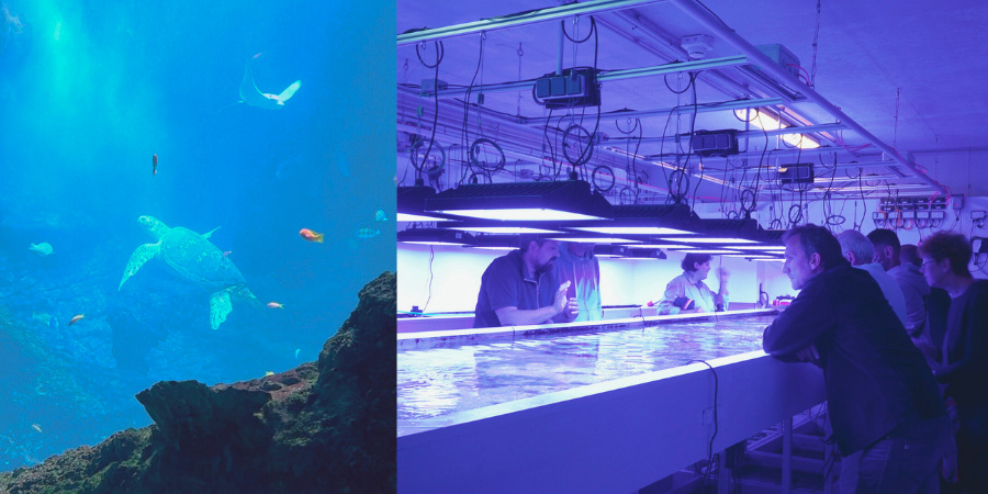 Visites guidées des coulisses de l’Aquarium de Biarritz