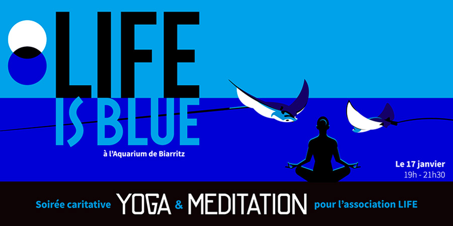 LIFE is Blue : Soirée Yoga & Méditation face aux profondeurs de l’océan